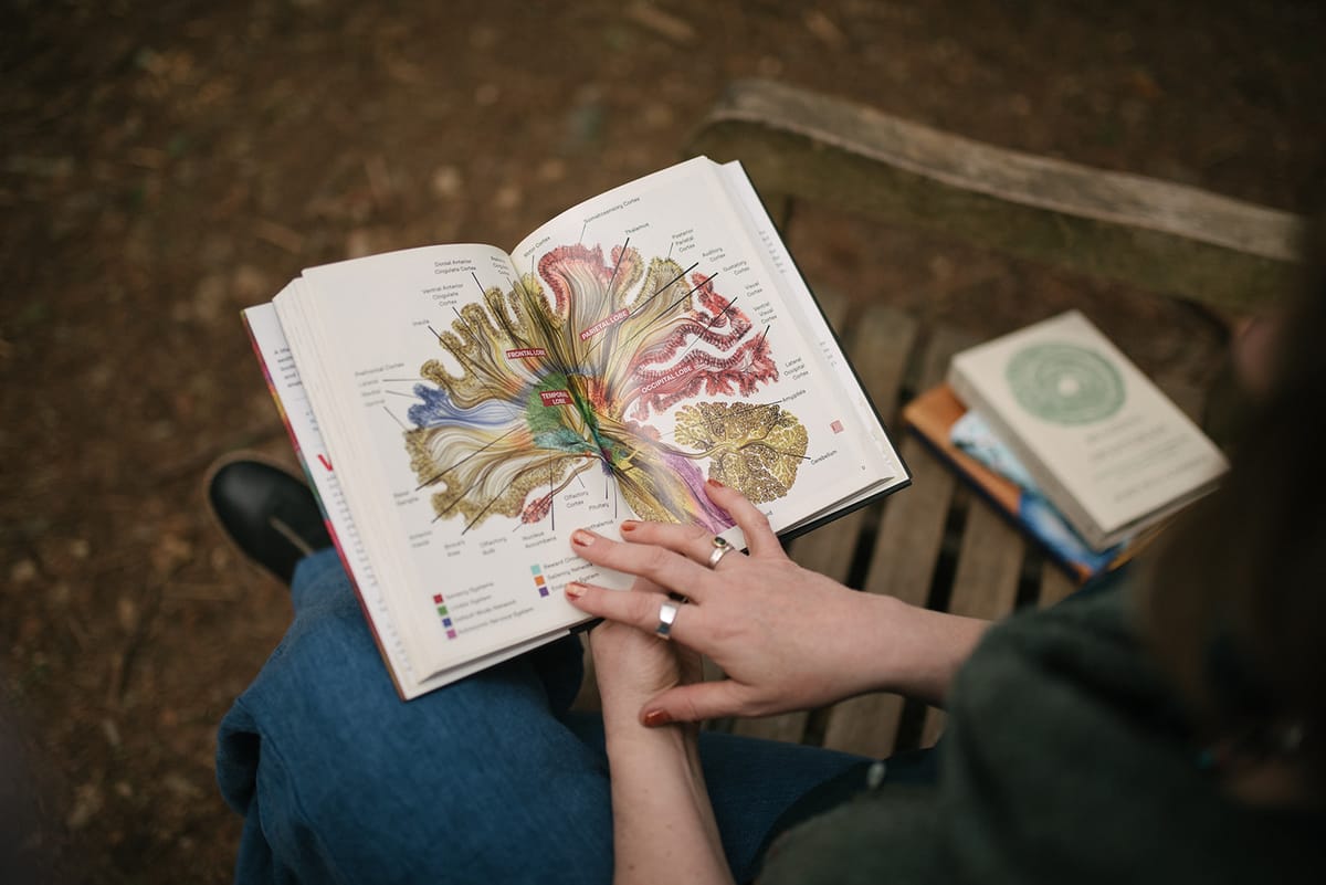 An open book features an image of a brain diagram in full color and with labels, held open with a right hand.